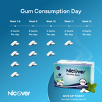 Quit Smoking Without Extreme Cravings in 12 Weeks