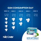 Nicover® Nicotine Gum Sugar Free Mint